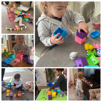 Montessori Farm Animal Set (20pcs)